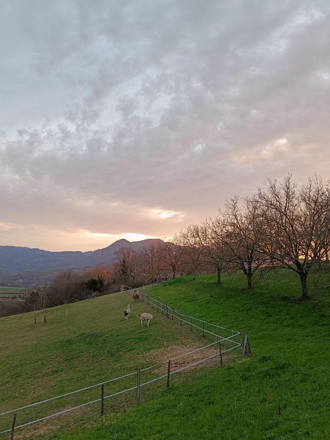 Le Perchoir Du Vercors - Panorama Sur Les Cimes Saint-André-en-Royans المظهر الخارجي الصورة